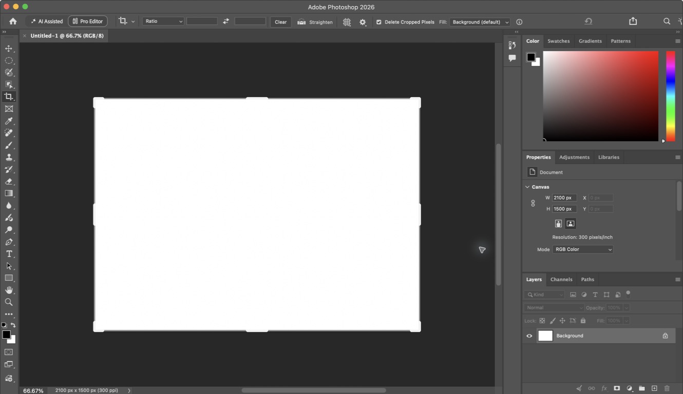 Photoshop procedure support for Annotate the client brief