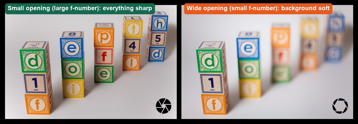 Real photos: small opening keeps everything sharp; wide opening softens the background.