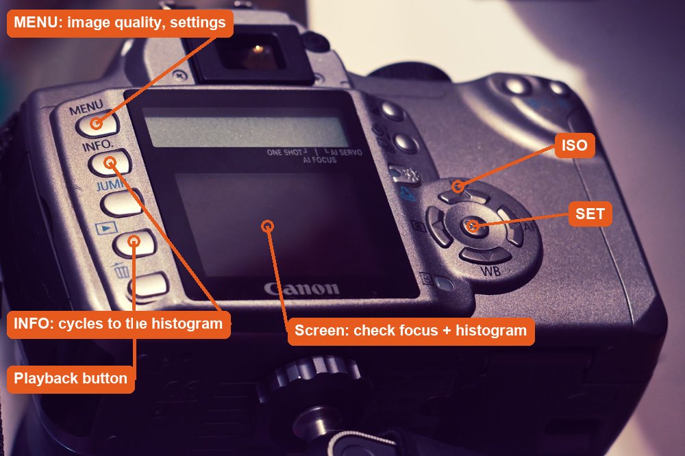 Real DSLR back: press INFO on playback to see the settings.