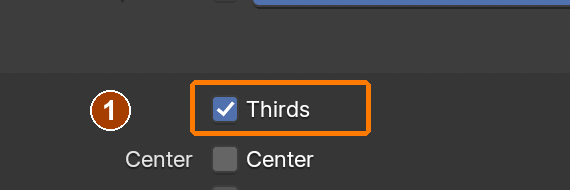 Camera Data > Viewport Display > Composition Guides: Thirds