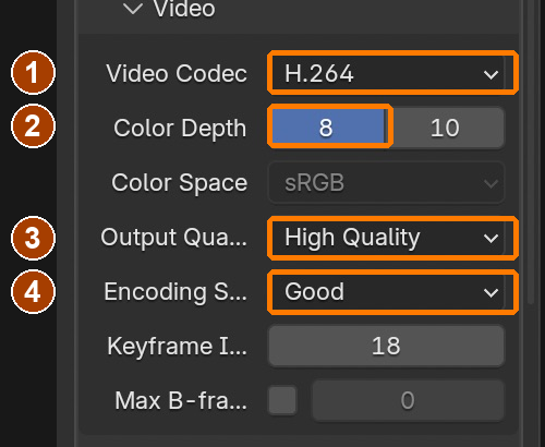 Video Codec H.264, Color Depth 8, Output Quality High Quality, Encoding Speed Good.