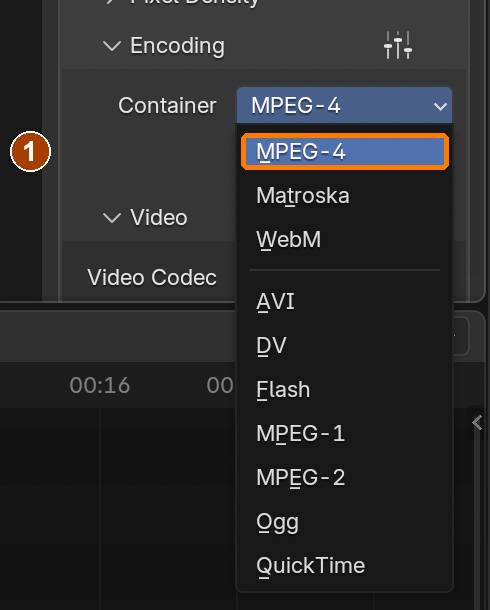 Encoding Container: choose MPEG-4 from the open dropdown.
