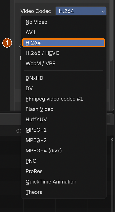 Video Codec: choose H.264 from the open dropdown.