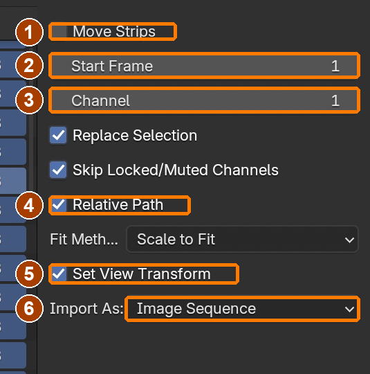Move Strips off; Start Frame 1; Channel 1; Relative Path on; Set View Transform on; Import As Image Sequence. These are the successful native import values.