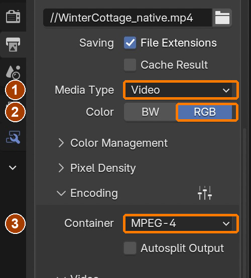 Output Properties: Media Type Video, Color RGB, Encoding Container MPEG-4. These values survived save/reopen.