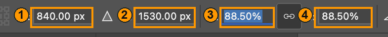 1 X; 2 Y; 3 W; 4 H. These values were entered with focused keyboard input and visibly applied.