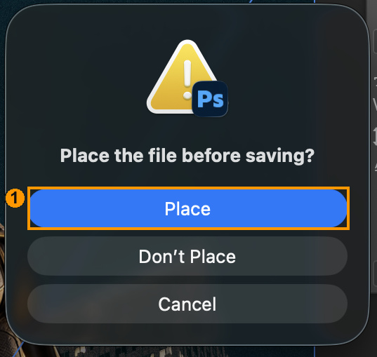 1: Place confirms the pending transform. This prompt occurred in the author run and was resolved.