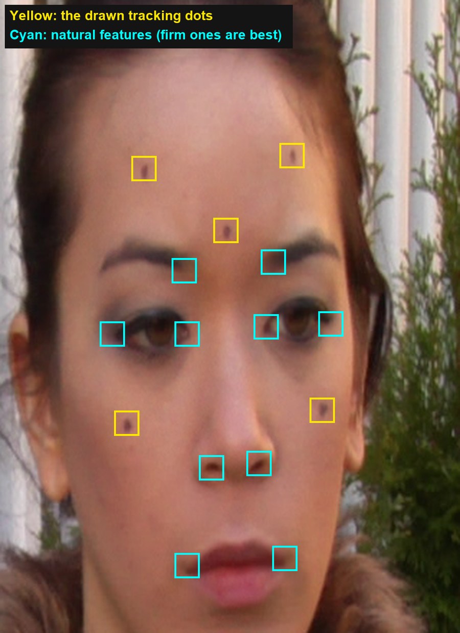 Frame 1 of the plate with the demo’s 15 markers: the five drawn dots (yellow) and ten natural features (cyan).